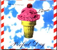 Duran Duran - Perfect Day 2xCD Set
